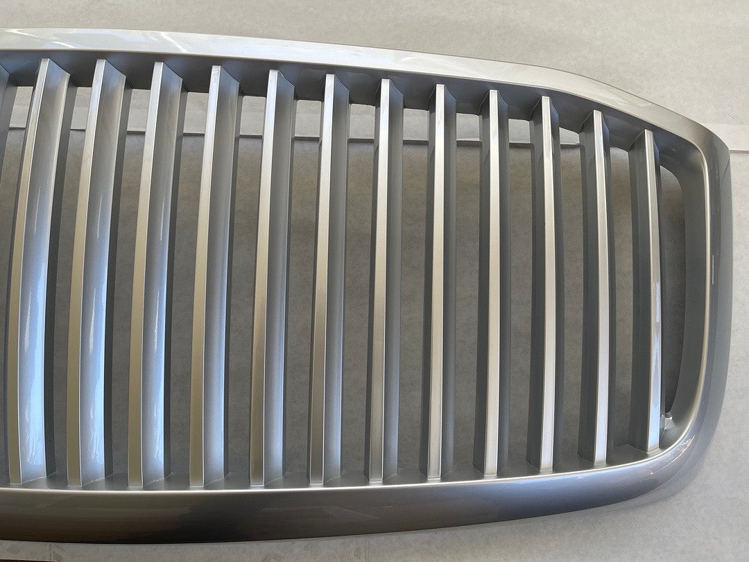 DODGE RAM 06-08 SILVER