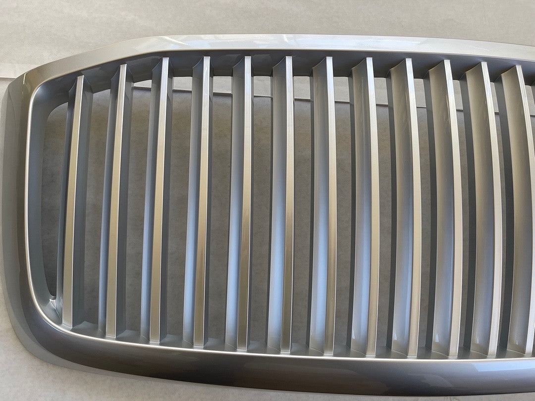 DODGE RAM 06-08 SILVER